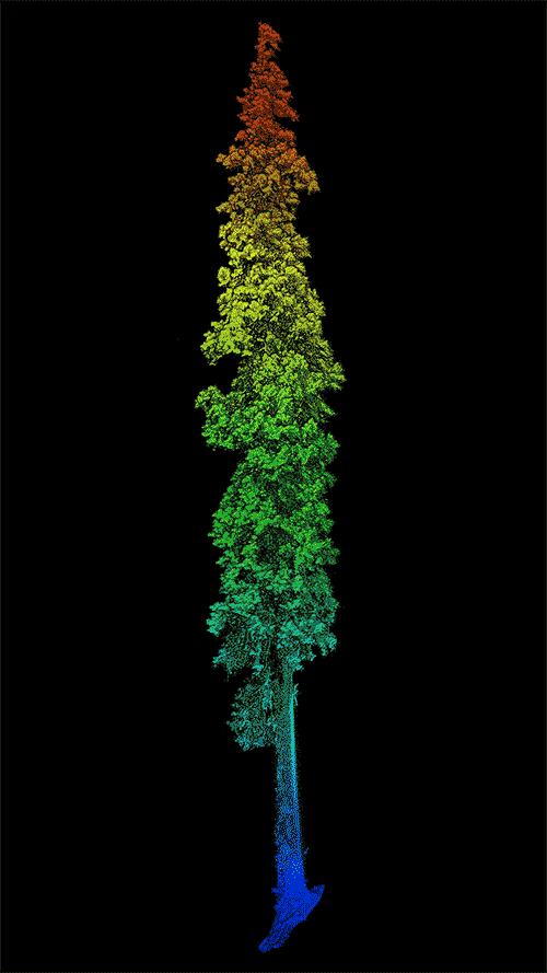 20230527168515481978608914.gif